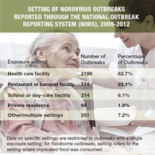 Infographic that shows the total number and overall percentage of Norovirus outbreaks by location.