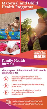 Banner graphic that explains the purpose of the maternal child health program.