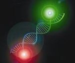 Double-helix strand with red and green lense flares.