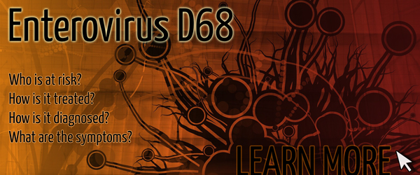 Enterovirus D68 Image