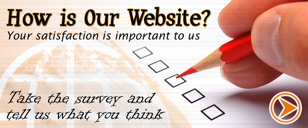Website Satisfaction Survey Image