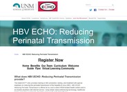 Hepatitis B Virus Project ECHO: Reducing Perinatal Transmission