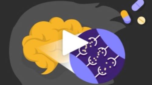 There Is Another Way | How Do Opioids Affect Your Brain?