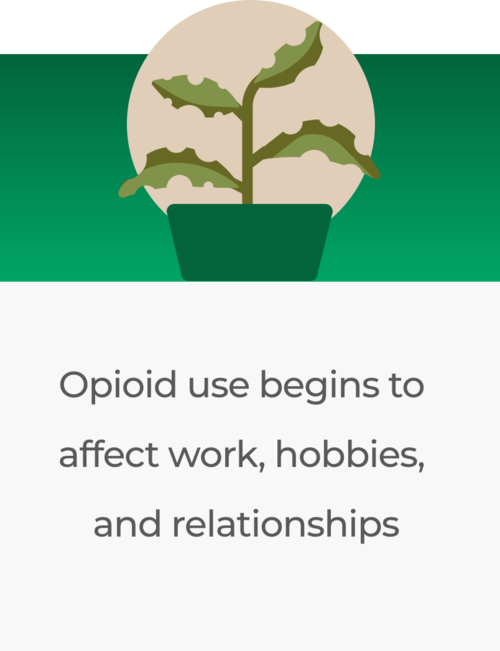 Inside Opioids