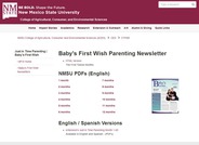 Baby’s First Wish Parenting Newsletter
