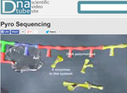 DNA Tube Pyrosequencing Video